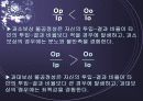 공정성 이론 4페이지