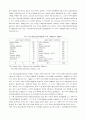 미국반도체산업의 발달과 산업전략의 변천 10페이지
