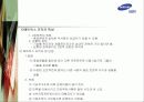 삼성전자 해외사업조직도 10페이지
