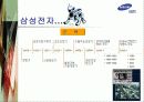 삼성전자 해외사업조직도 12페이지