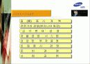 삼성전자 해외사업조직도 30페이지