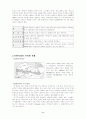 사막화 발표 자료 2페이지