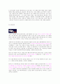 일본애니메이션의 기원과역사 4페이지