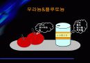 핵의 위험성에  관한 발표자료 5페이지