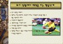 최강의 리더쉽 27페이지