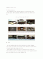 시멘트 독성 36페이지
