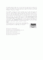cell cycle 측정 및 sister chromatid exchange 4페이지