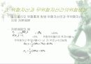 위험과수익률 11페이지