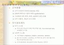 지식경영과 지식관리시스템 12페이지