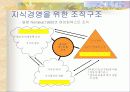 지식경영과 지식관리시스템 13페이지