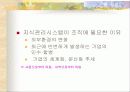 지식경영과 지식관리시스템 24페이지