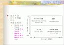지식경영과 지식관리시스템 29페이지