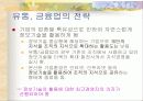 지식경영과 지식관리시스템 35페이지