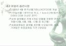 선물옵션시장 14페이지