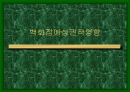 백화점에상권적영향 1페이지