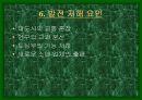백화점에상권적영향 11페이지