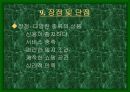 백화점에상권적영향 14페이지