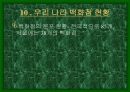 백화점에상권적영향 16페이지