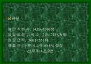 백화점에상권적영향 18페이지