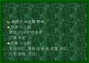 백화점에상권적영향 35페이지
