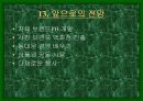 백화점에상권적영향 43페이지