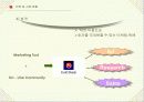 인터넷비즈니스성공사례 12페이지