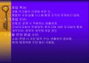 국제마케팅 32페이지