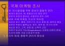 국제마케팅 33페이지