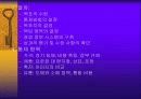 국제마케팅 66페이지