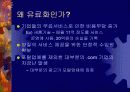 인터넷 서비스의 유료화 3페이지