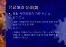 인터넷 서비스의 유료화 8페이지