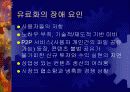 인터넷 서비스의 유료화 9페이지