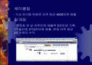 인터넷 서비스의 유료화 11페이지
