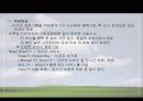위성방송과 디지털방송 8페이지