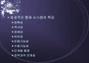 통제와 정보시스템 7페이지