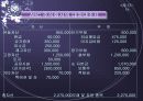 통제와 정보시스템 10페이지