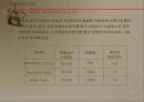 한국브랜드의 세계화 11페이지