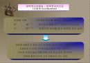 지식경영 41페이지