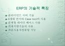 전사적 자원관리에 성공요인 7페이지