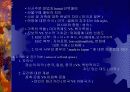 국제마케팅의 문화적 환경 6페이지