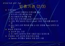 전자상거래의 개요 17페이지