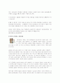 비만에관하여 29페이지