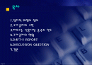 코카콜라와 정치,경제적 위험 2페이지
