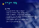 코카콜라와 정치,경제적 위험 11페이지