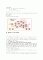 마케팅 성공사례 : 티지아이마케팅성공사례분석 15페이지