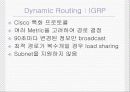 Static Routing & Dynamic Routing & Distance Vector Routing Protocol 7페이지