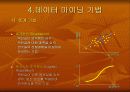 데이터 마이닝 (data mining) 12페이지