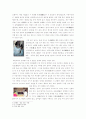 사라져 가는 우리의 전통문화(傳統文化)-관혼상제 4페이지