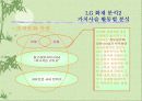 LG화재의 경쟁력 제고방안 37페이지