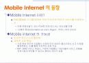 인터넷 비즈니스의 현황 및 문제점 3페이지